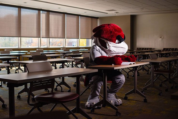 Norm the crimson hawk wearing a mask while reading a book